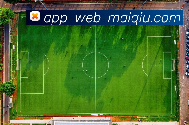App 示例图